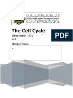 Cell Cycle Report Project