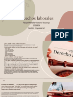 Derechos Laborales Derechos Fundamentales