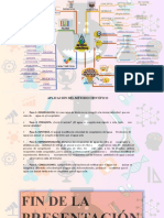 Metodo Cientifico