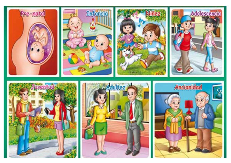 Etapas Del Desarrollo Humano | PDF