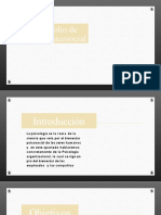 Presentación Diapositivas ACCIÓN PSICOSOCIAL