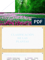 Clasificacion de Las Plantas