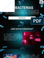 Eubacterias de Importancia Médica - ALCM