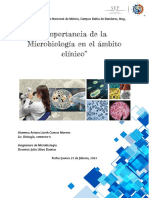 Ensayo - Importancia de La Microbiología - ALCM