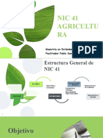 B. NIC 41 Agricultura