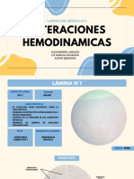 Laminas de Patologia - Alteraciones Hemodinamicas