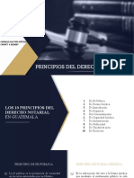 TAREA SOBRE ESQUEMATIZACION DE PRINCIPIOS DE DERECHO NOTARIAL Enrique Pira 2028087