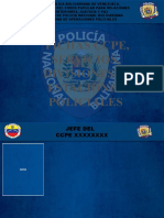Formato Fichas Operaciones Policiales PNB