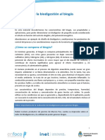 4.1 de La Biodigestión Al Biogás