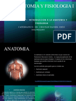 Diapositiva Anatomia y Fis