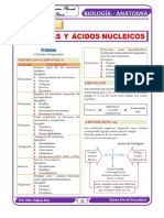 BIOLOGIA 5to Secundaria Tema VI y VII