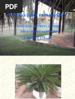 Cópia de plantas para paisagismo