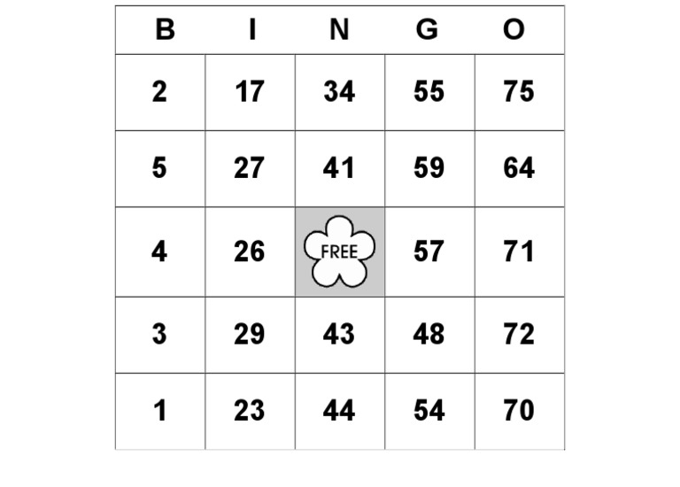Custom Bingo Card | PDF