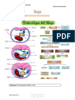 2.1. Origen Embriológico: Universidad Nacional de Trujillo Facultad de Medicina Curso de Histología