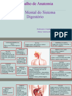 Trab Anatomia Mapa Mental