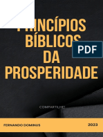 Princípios Bíblicos Da Prosperidade.