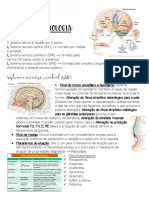 Neurofisiologia