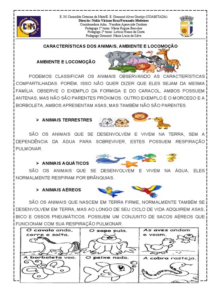 Locomoção Dos Animais | PDF | Pena (pássaro) | Terra