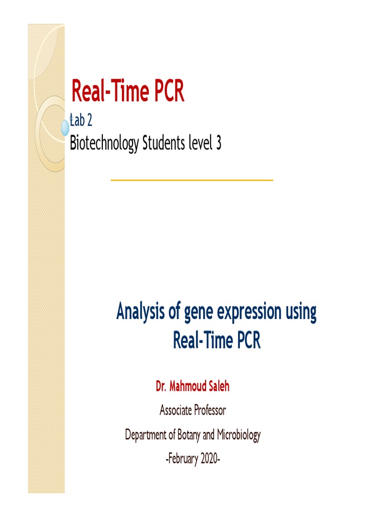 Analysis of Gene Expression Using RealTime PCR PDF Real Time