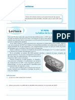 Tema Acidos Nucleicos