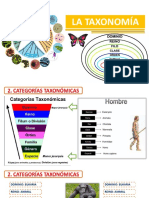 Taxonomia 2