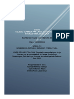 Requisitos Del Diagnóstico (Francisco Jesús-Fabián) 2B
