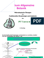 Praktikum: Allgemeine Botanik Teil 5