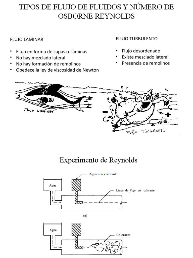 Número de Reynolds PDF