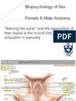 PSY354 Lecture 2 (Anatomy) 