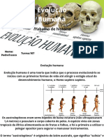 Trabalho de Historia Sobre a Evolução Humana.