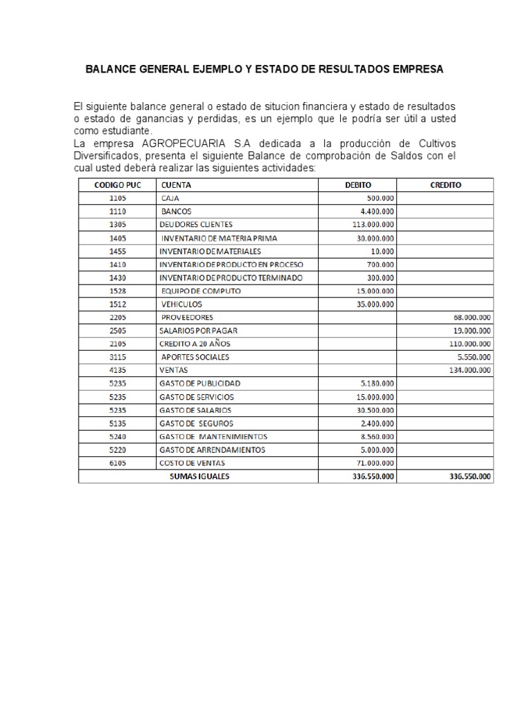 Ejemplo de Balance y Estado de Resultados | PDF | Finanzas y dinero
