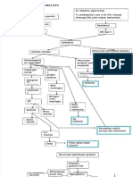 PDF Pathway DM Compress