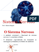 Aula 8º Ano - Sistema Nervoso