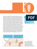 Systemic+anaphylaxis - Final