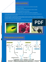 Aula 3 - Proteina Estrutura Funcao Parte2