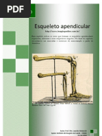 Esqueleto-apendicular com imagens para fixaçao