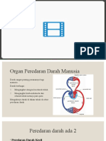 peredaran darahku sehat