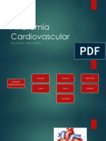 Anatomia 05 Cardiovascular