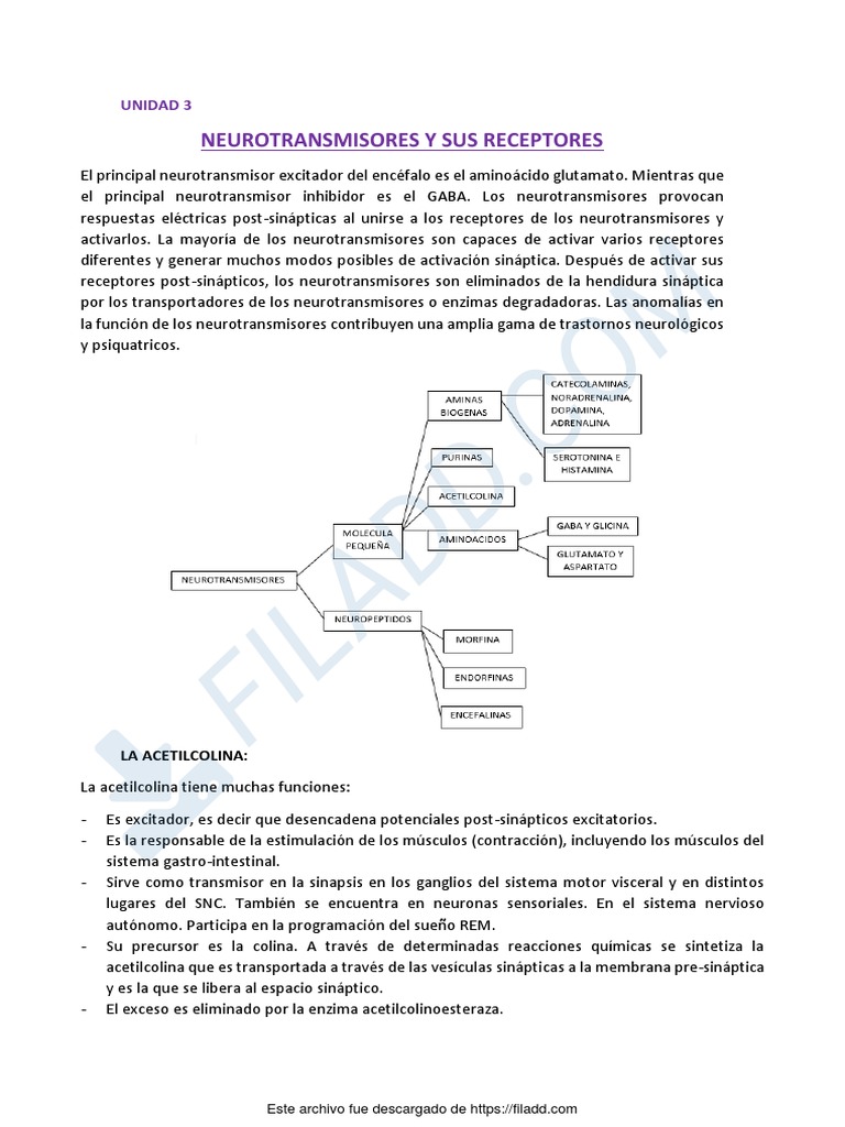 Neuro UNIDAD 3 | PDF | Sinapsis | Dopamina