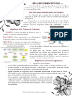 Linhas Do Cuidado Integral - 08.03