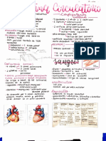 Resumen Circulatorio