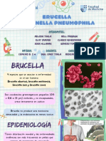 Brucella y Legionella g6