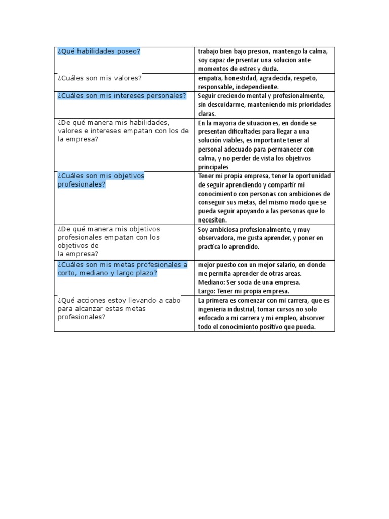 Metas Profesionales a Corto, Mediano y Largo Plazo | PDF