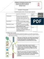 Actividad Citoesqueleto