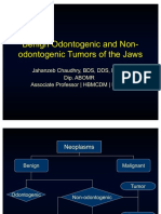 4.benign Odontogenic and Non-Odontogenic Tumors of The Jaws - Slides