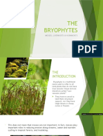 Bryophytes Presentation