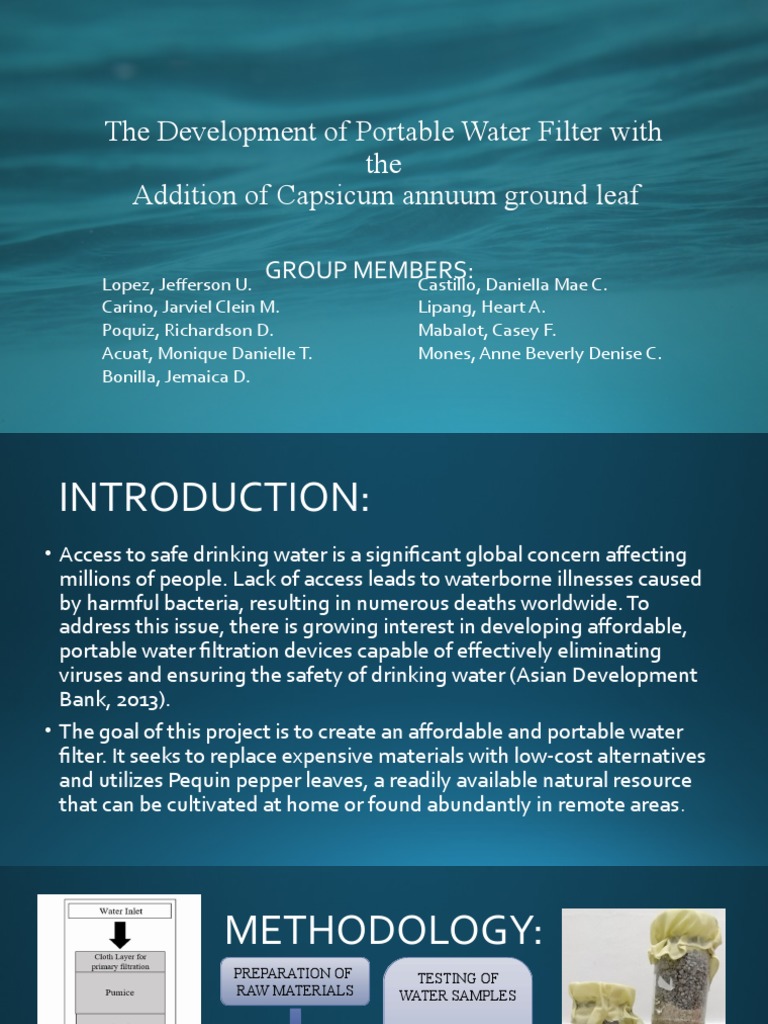 Group 3 PPT Capstone | PDF | Water | Drinking Water