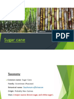 AGR662 Topic 11 - Sugarcane