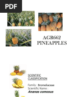 AGR662 Topic 9 - Pineapple 4.1.23