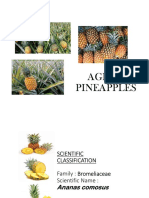 AGR662 Topic 9 - Pineapple 4.1.23